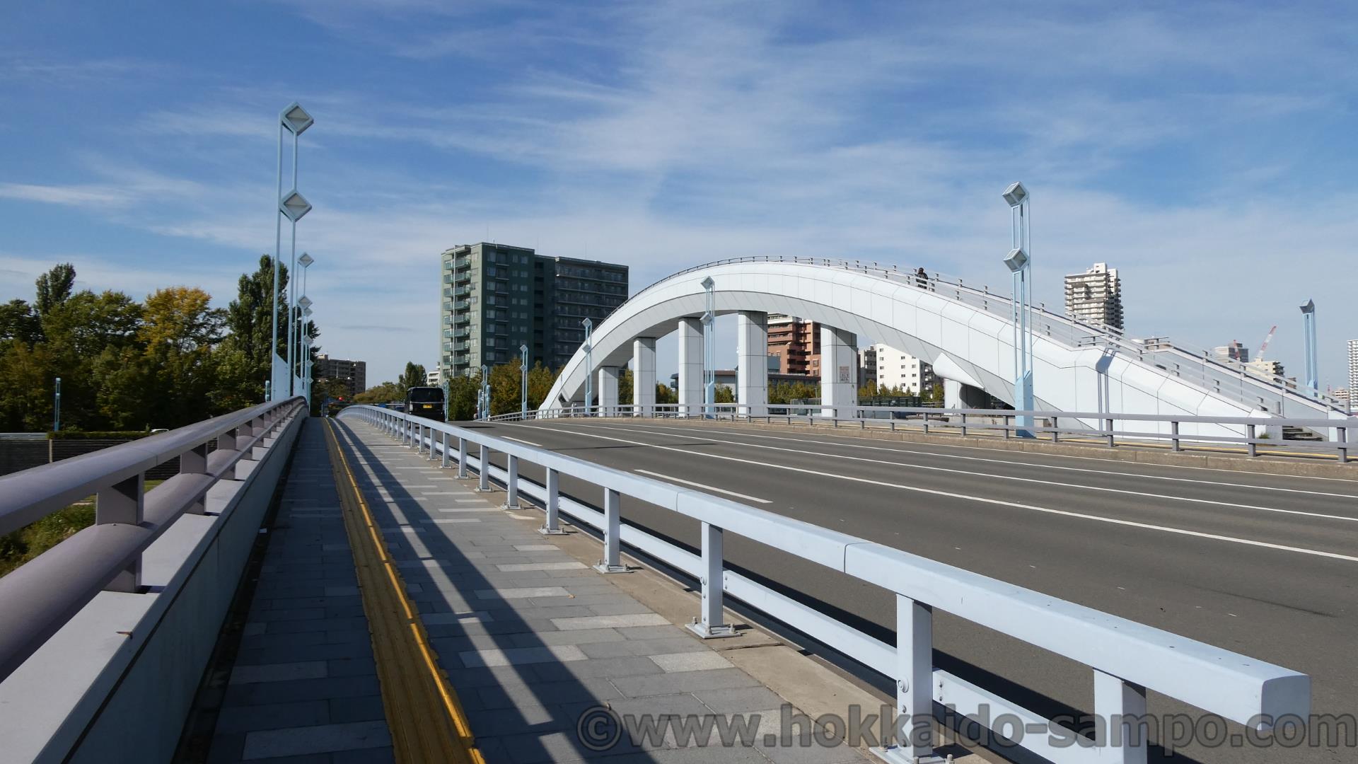 札幌を代表する川、豊平川。そこに架かる幌平橋で橋の上の橋を渡る散歩で初めての鳥に出会う